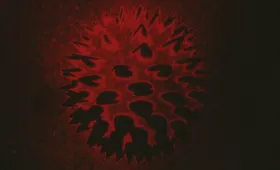 MORSURE Performance de RIOJIM