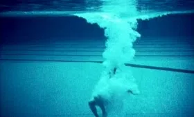 TOILES D’ÉTÉ 2016