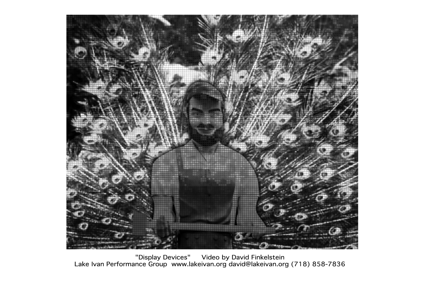 023_finkelstein_displaydevices1