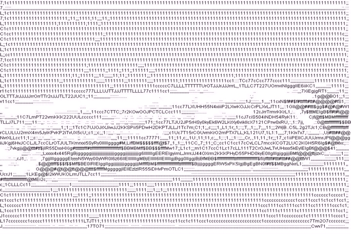 029_enns_thedeathofnaturallanguage2