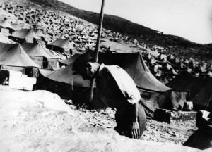 CommDesLions_PRESS4-1